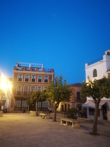 Plaza Mayor (6)
